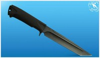 Condor-1.jpg