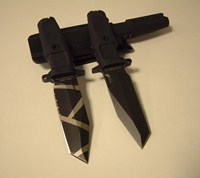 FulcrumC1.jpg