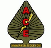 ACE Ltd. USA